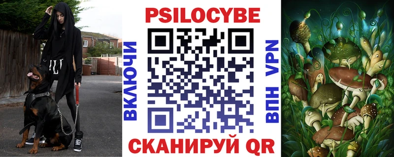 Псилоцибиновые грибы мицелий  Шали 